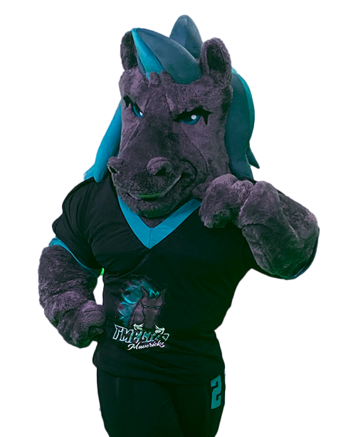 Maverick Max the Mascot